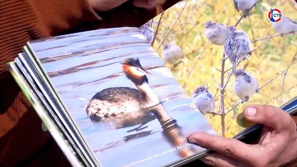 ����������� ���� ��������� ����� ��� ��������� ����