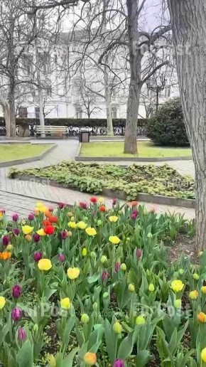 ������ ����� ��������. ����������� �������: ��������� ����� ����� � ����������� ������ ����� �����