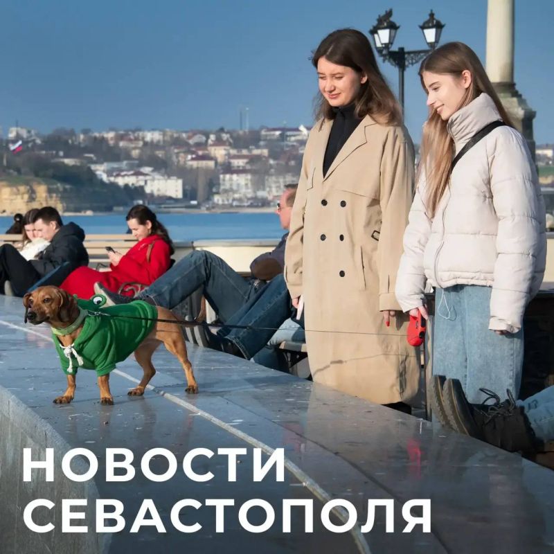 Михаил Развожаев: Кратко о главном:. Ремонт школ