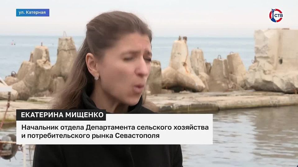 Севастопольскую устричную ферму поддерживает государство