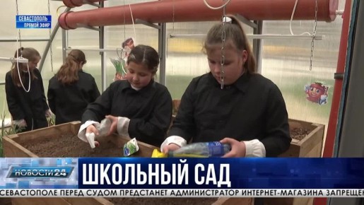 Укроп, клубника, виноград. Сбор весеннего урожая начали в теплицах севастопольских школ