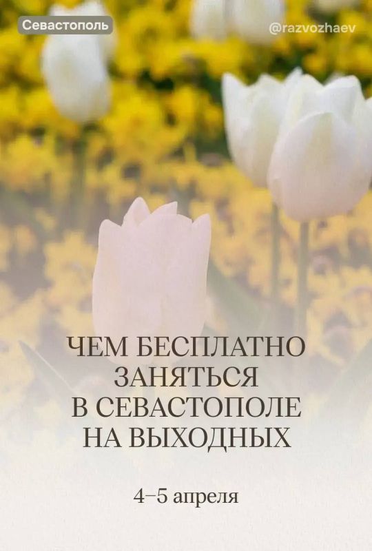 Михаил Развожаев: Впереди выходные, и уже традиционно севастопольские учреждения приготовили множество бесплатных мероприятий