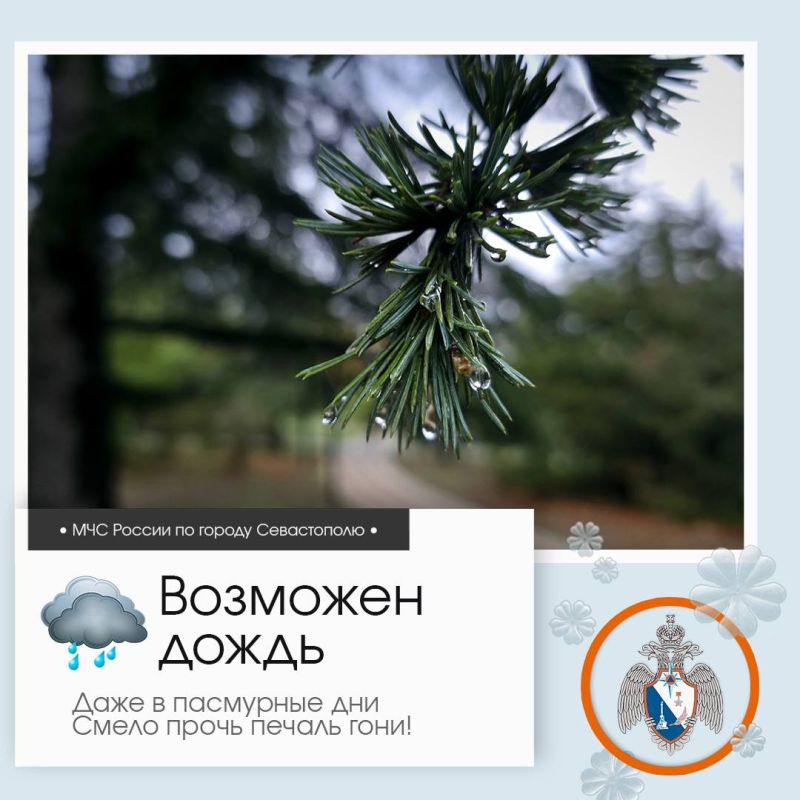 ����������, �����������!. �� ������ ��������������, 4 ������ � ����������� ����� �������