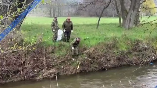 ����� ����������� ������������ � �����������