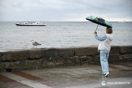 ������� ������ � ����� �� �������