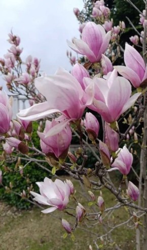 ������� ��������� ������� �������� ��������