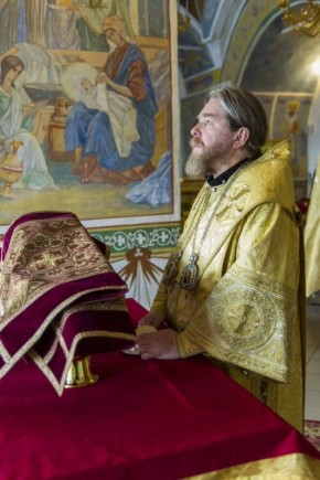 Колонка митрополита Тихона (Шевкунова)