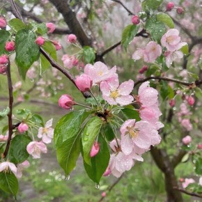 ������� ������ � ����� �� 4 ������