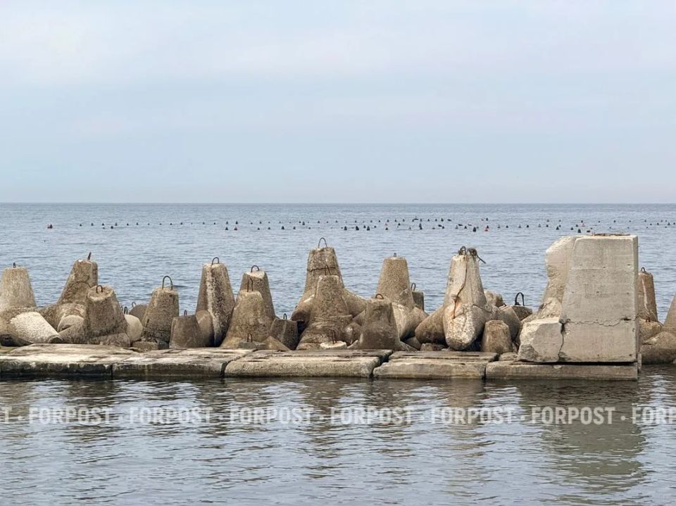 Морские фермеры в Севастополе после «шторма века» жалуются на конкурентов из Китая Морские фермеры в Севастополе после «шторма века» жалуются на конкурентов из Китая