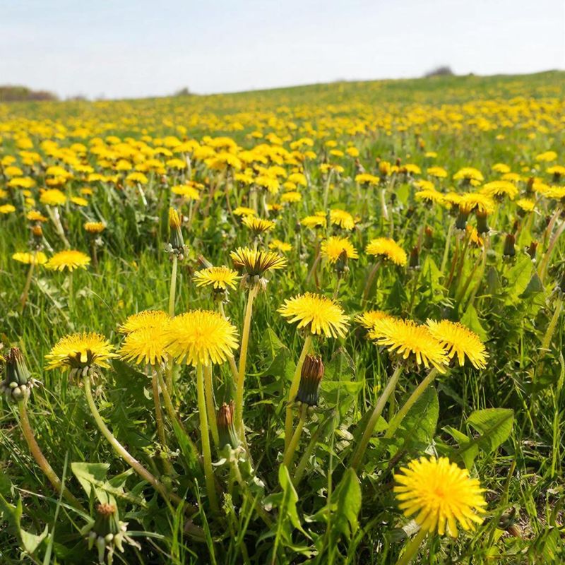 Прогноз погоды в Крыму на 5 апреля