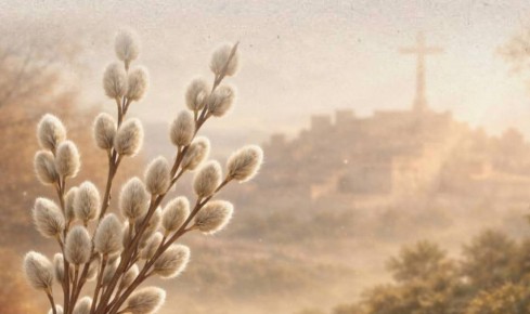 ������������ ������� �������� ������� �������� � ���� ��������� � ��������� (������� �����������)