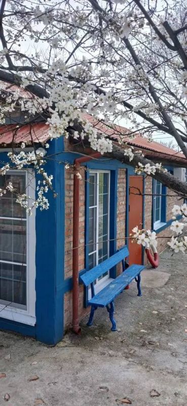 �� ����� ������, ����������� � ������������ ����� ��� ���������� � ���������: