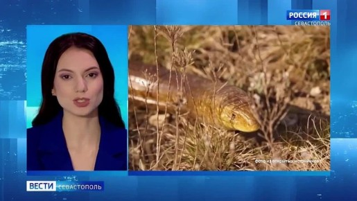 ������� ����� �������� ������