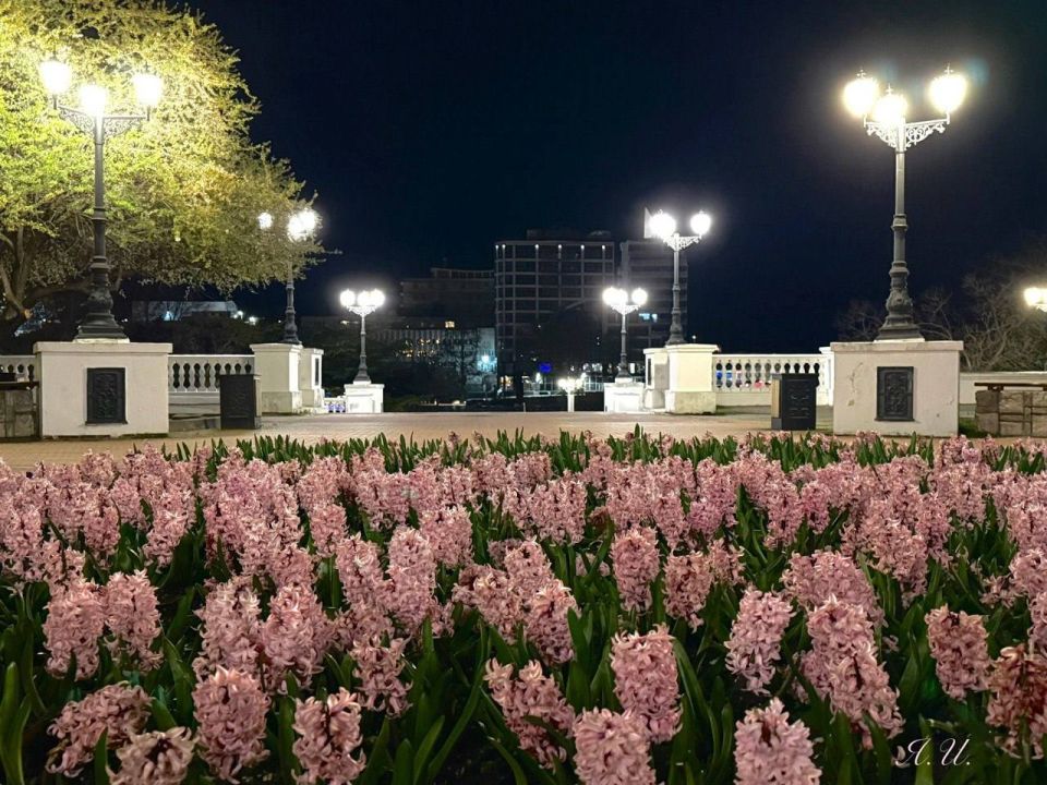 �������: ������ ��������� � ���������� �������� ��������� ��������� ������ ����������� �� ������� ������: