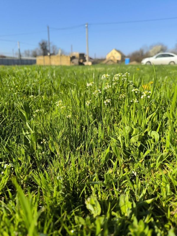 ������� ������������, ������!