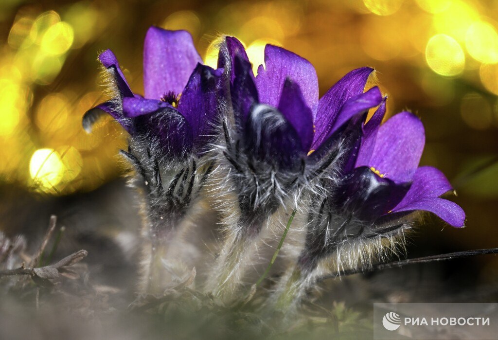 Прогноз погоды в Крыму на понедельник