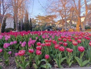 ��� ������ ����������, ��� ���� ��������� � �����������