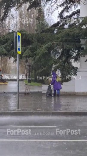Отважные дворники в Севастополе метут улицы даже под проливным дождем