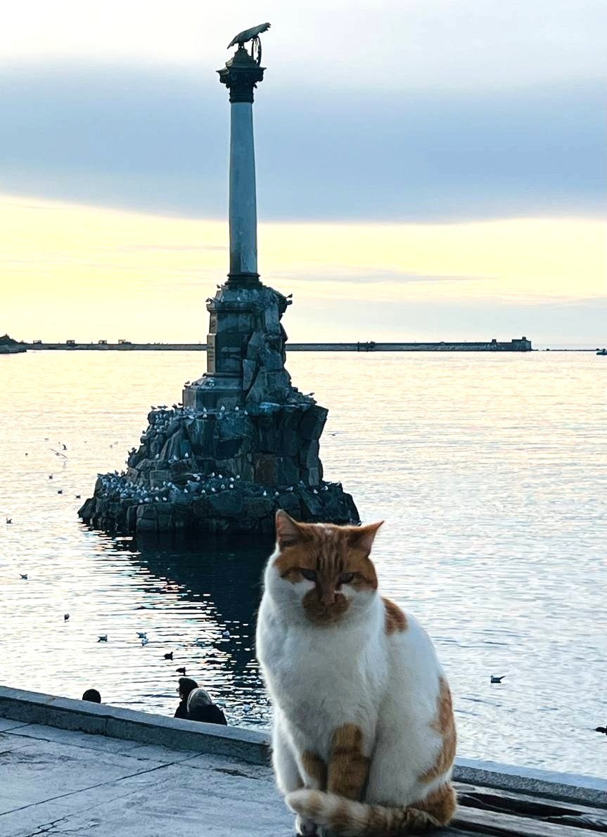 Севастополь возглавил рейтинг динамики турпотока в РФ за первые месяцы 2026 года — данные Росстата