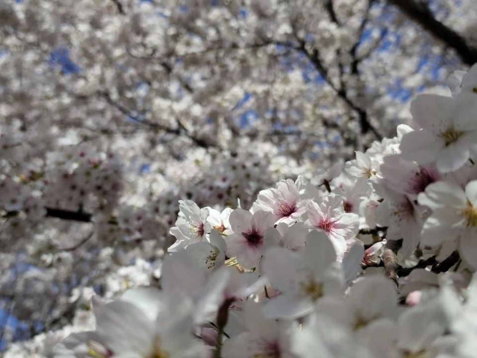 Севастопольская весна прекрасна в любую погоду!