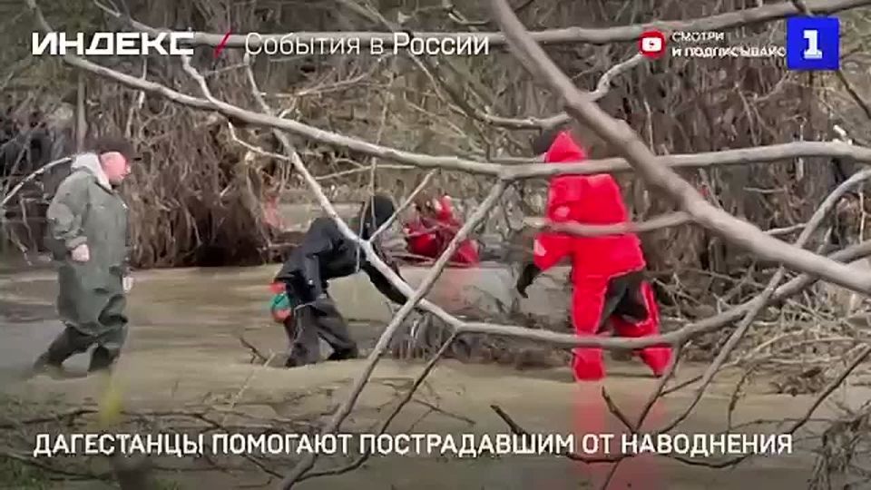 Владимир Путин поручил создать специальную правительственную комиссию по ликвидации последствий паводков на территории Дагестана — Кремль