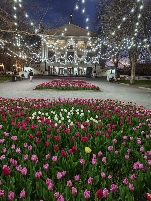 Доброго вечера, Севастополь