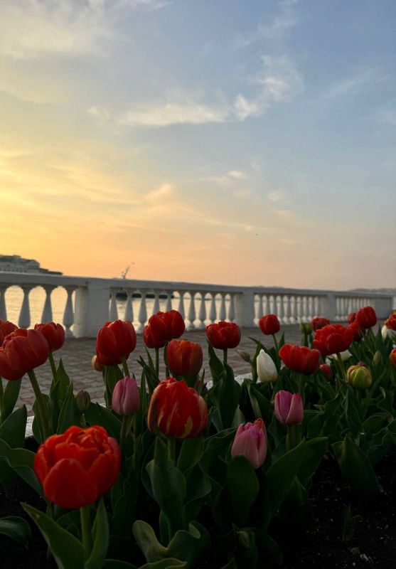 Погода на 7 апреля:. • переменная облачность