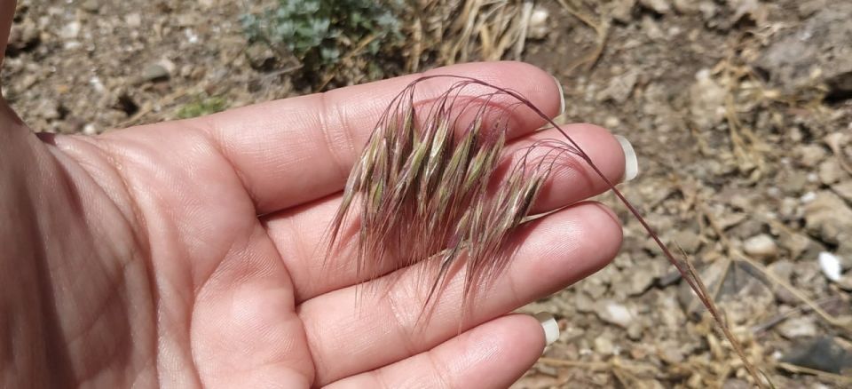 ������ �� ����� ������� �������� �������� ������������� ���������� � �������� �������