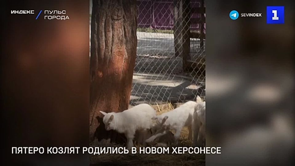 ������ ������ ��������� ������ �������� � ����� ���������