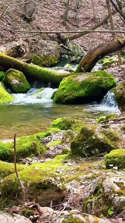 Река Биюк-Узенбаш начинается прямо из мощного горного источника в горах Крыма