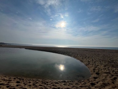 ������ �� 8 ������:. � ���������� ����������, �������� �����