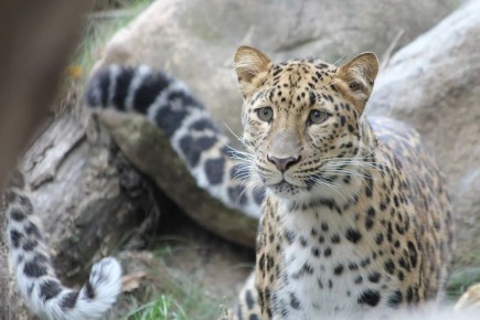 ����� ��� ������� ���� �� ����� ��������� ��������� � ������?