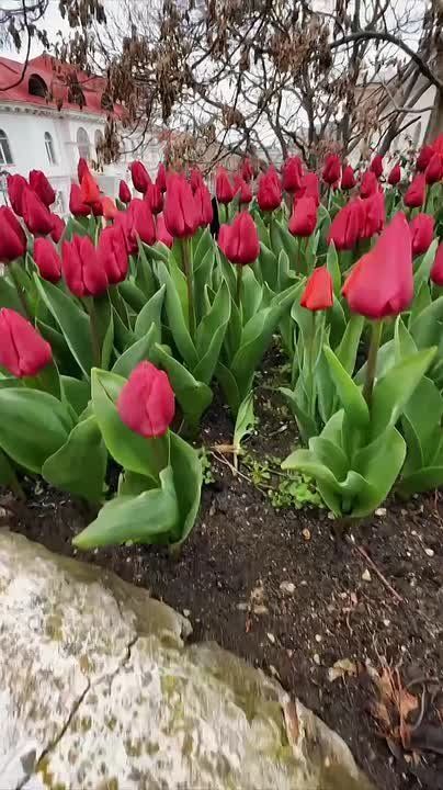 ������ ���������! � �������� �������� �� ��������� ������ ����� ������� ����� �������