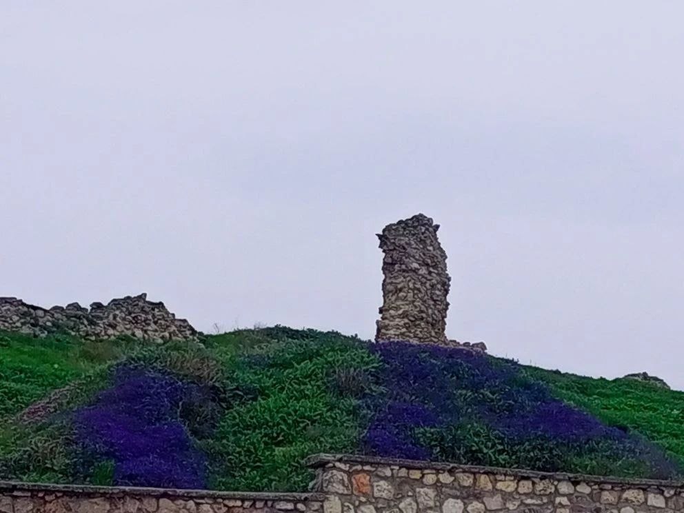 Доброго утра четверга!. В Севастополе днем дождь Доброго утра четверга!. В Севастополе днем дождь