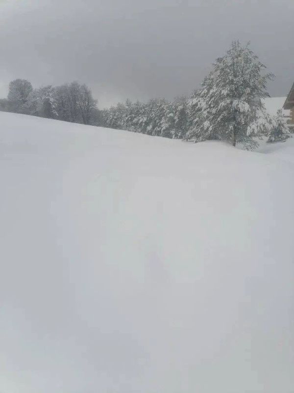 � ��� ������ ������������ � �������� � ����� �����������