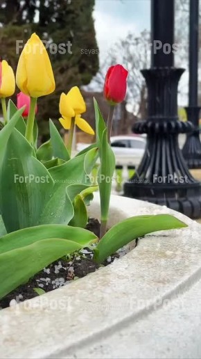 ���������� �������: � ������ ����������� �������� ����� ����