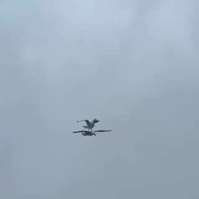 ������������� ����� ������