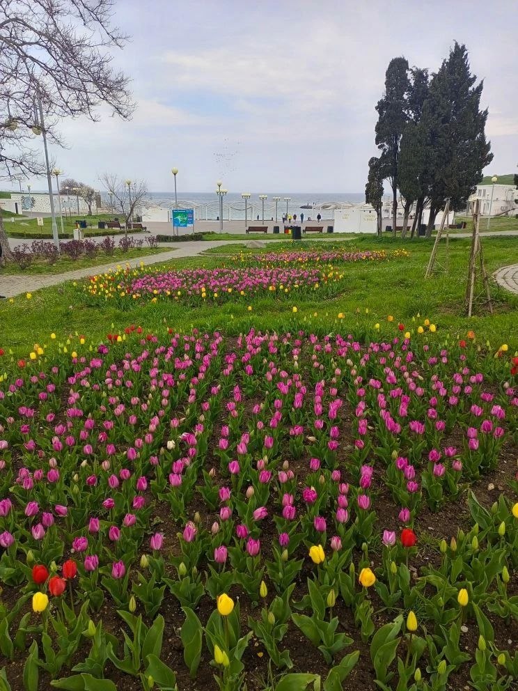 Доброго утра четверга!. В Севастополе днем дождь Доброго утра четверга!. В Севастополе днем дождь