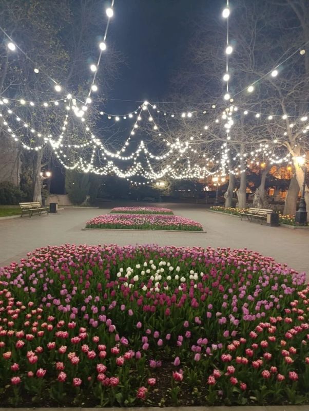 ���� ����������, �� ������ ����� �����������