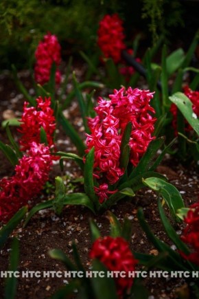 Весна в любимом городе. Ловите ещё одну подборку ярких фотографий