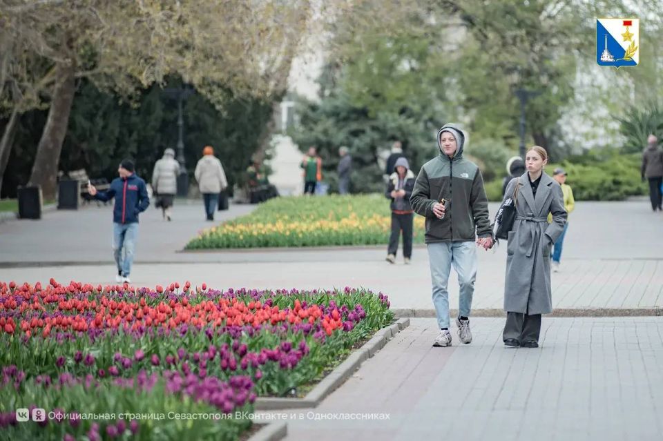 ����� ����������� �������� ����� �������� �����