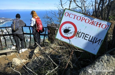 ������ ������ ����������� ��������