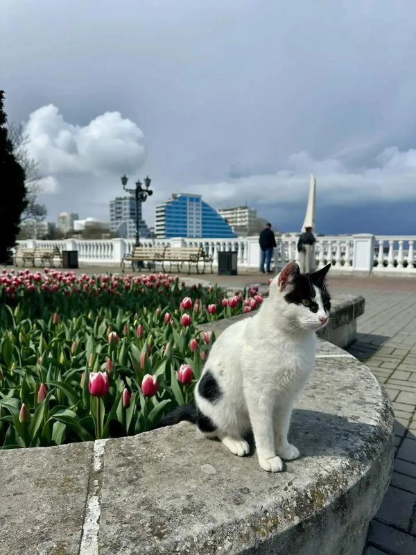 ������ � ����������� ������� � ������������, ��� �������