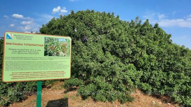 � ����������� ������ ��������� ������ � ����������-������������