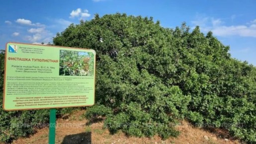 � ����������� ������ ��������� ������ � ����������-������������