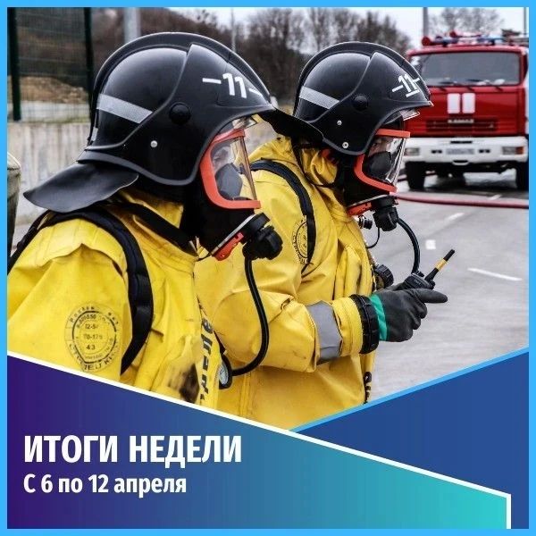 ������������ ������������. ������� ������ � 6 �� 12 ������