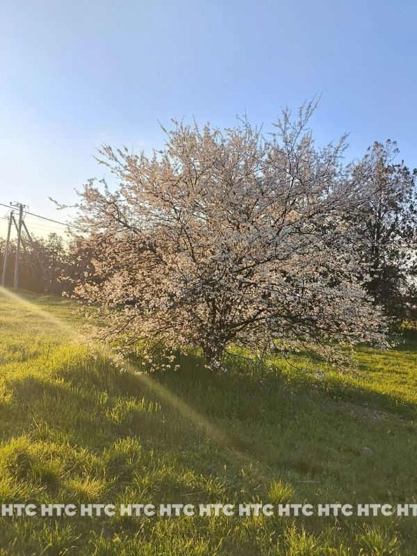 ���������� �������� ���������� �������� ���������