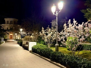 �������: ������ ��������� � ���������� �������� ��������� ��������� ������ ����������� �� ������� ������: