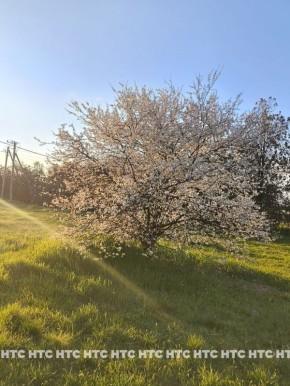 ���������� �������� ���������� �������� ���������