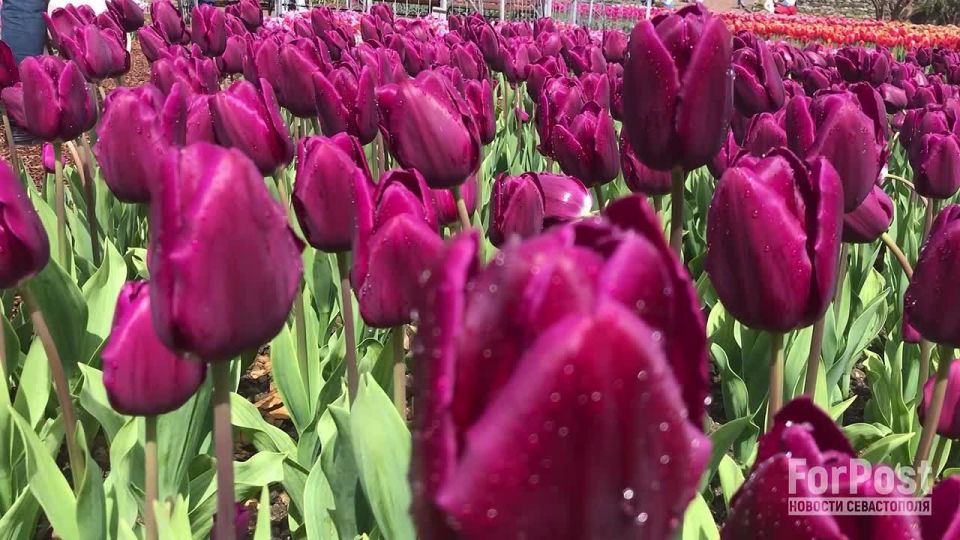 ��������������� ����� ��������� �� ��� ����������